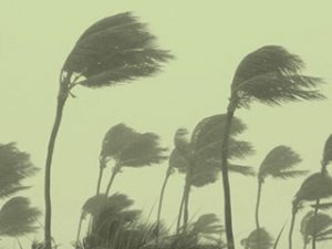 Global Warming Evidence