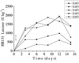Biodegradation Process